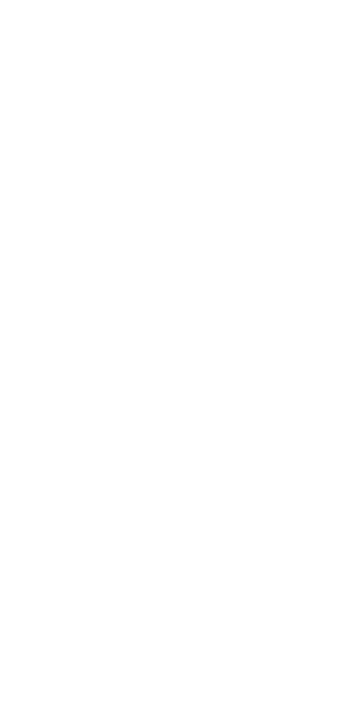 Bissap